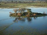 Africa 256 : Aerial View, Africa, Botswana, Delta, Landscape, Mombo, Nature, Okavango, Palm Trees, Travel, Trees